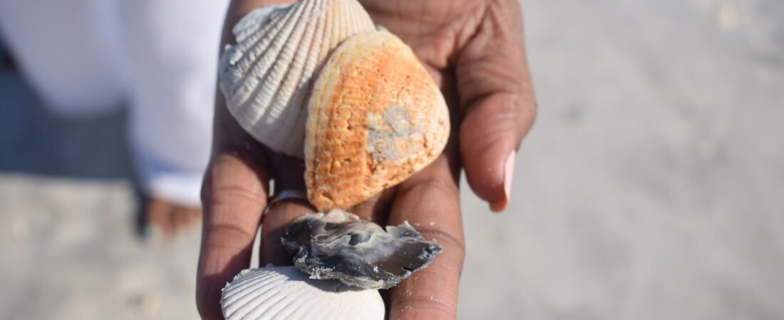 Small Steps Lead to Big Results:      A Reflection on Personal Growth