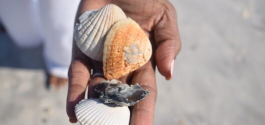 Small Steps Lead to Big Results: A Reflection on Personal Growth